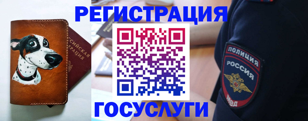временная регистрация в квартире в Камчатском крае